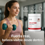 Creatine Balance – Suplemento para energía y rendimiento físico