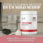 Creatine Balance – Suplemento para energía y rendimiento físico