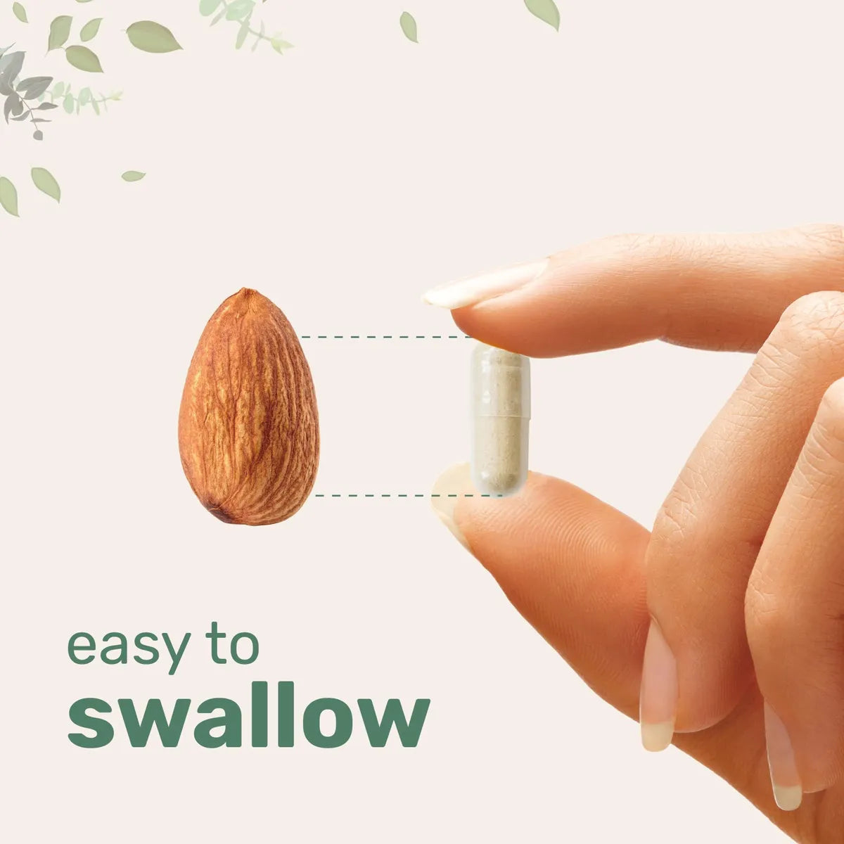 Capsulas de Melena de Leon