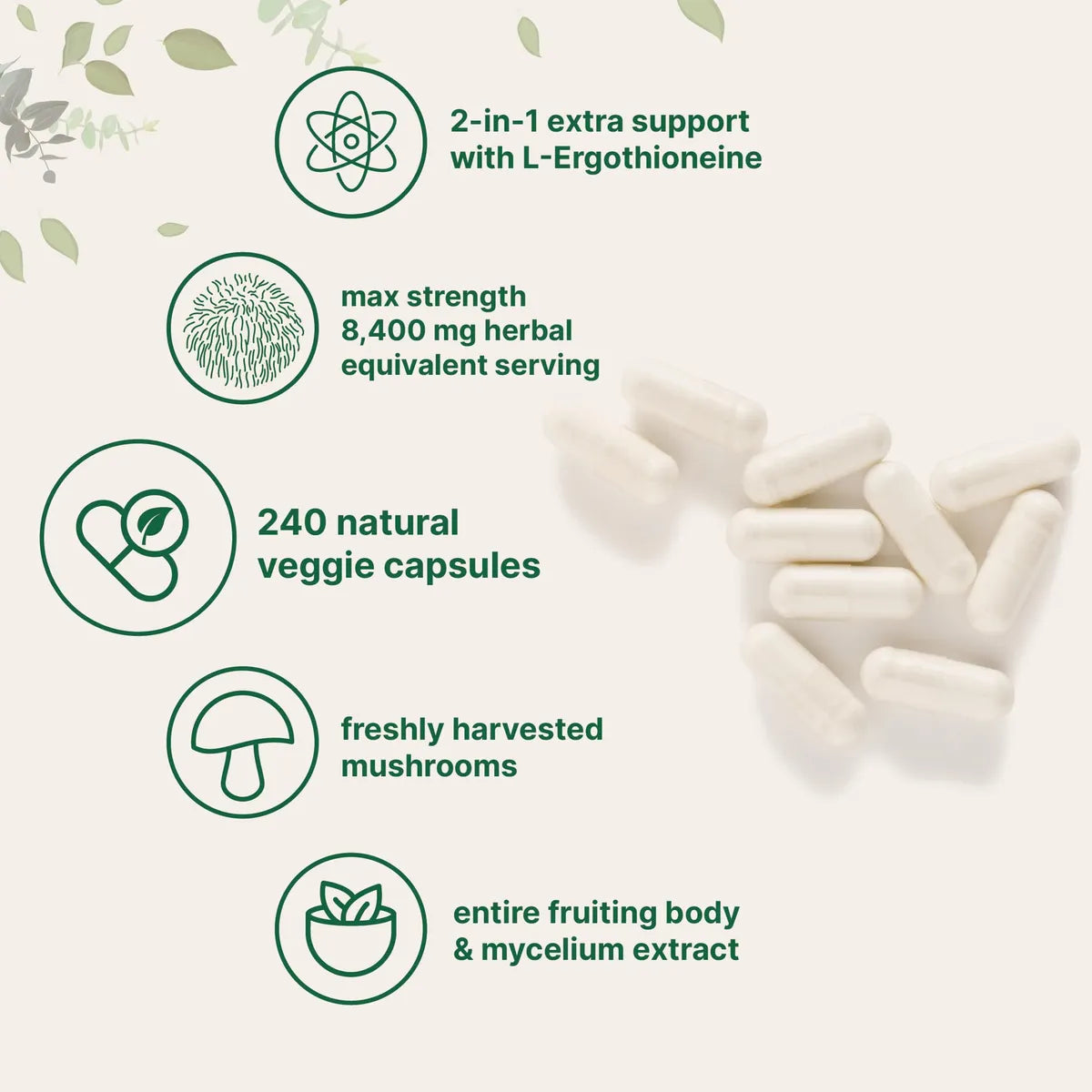 Capsulas de Melena de Leon